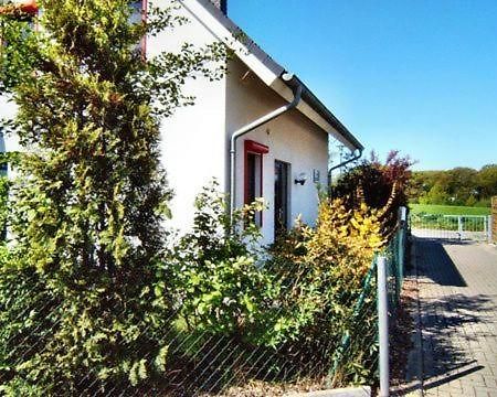 Seestern Kaltenhof Zewnętrze zdjęcie